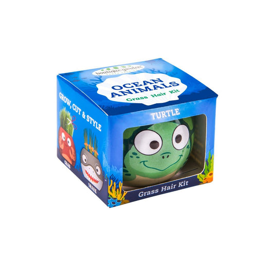 Mr Fothergill Grass Hair Turtle - 60mm - Ryegrass - Fun Indoor Kit - Auzzistore