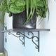 Carinya Heavy Duty Scroll Stayed Bracket 250x200mm Steel Durable