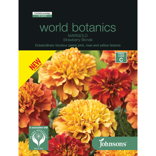 Johnsons Marigold - 50 Seeds - Seed - Attracts Bees and Butterflies - Auzzistore