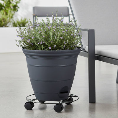 Eden Pot Plant Trolley - 35cm - Metal - Heavy Duty with Brake