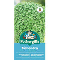 Mr Fothergill Dichondra Seeds 75mm Low Maintenance Ground Cover