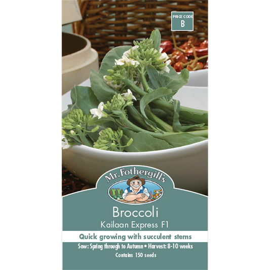 Mr Fothergill's Kailaan Broccoli Seeds - 10 Weeks - Edible Benefits - Auzzistore