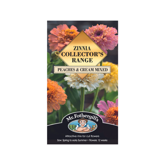 Mr Fothergill Zinnia Peaches and Cream Mixed Seeds - 50 Seeds - 75cm Height - Soft Tones - Auzzistore