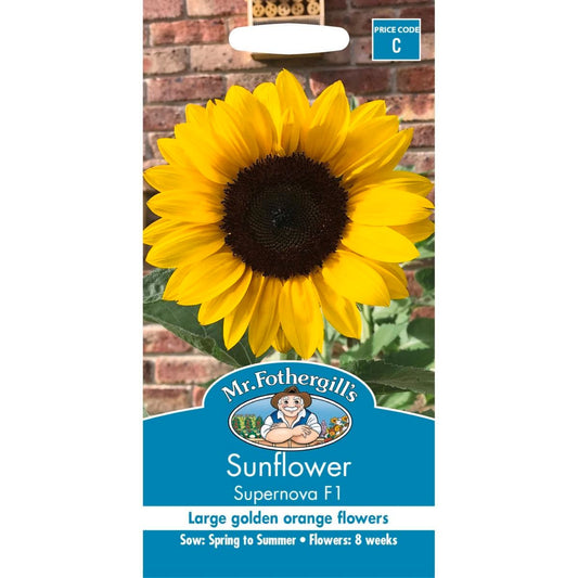 Mr Fothergill Sunflower Seeds - 160cm - Seed - Pollen Free - Auzzistore