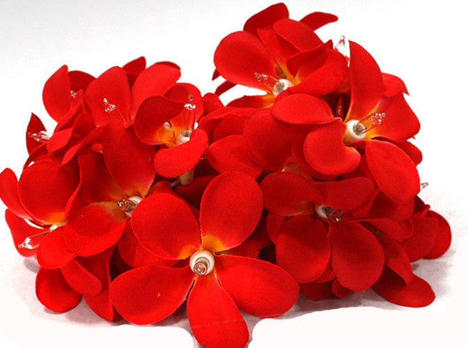 1 Set of 20 LED Deep Red Frangipani Flower Battery String Lights Christmas Gift Home Wedding Party Decoration Outdoor Table Garland Wreath | Auzzi Store