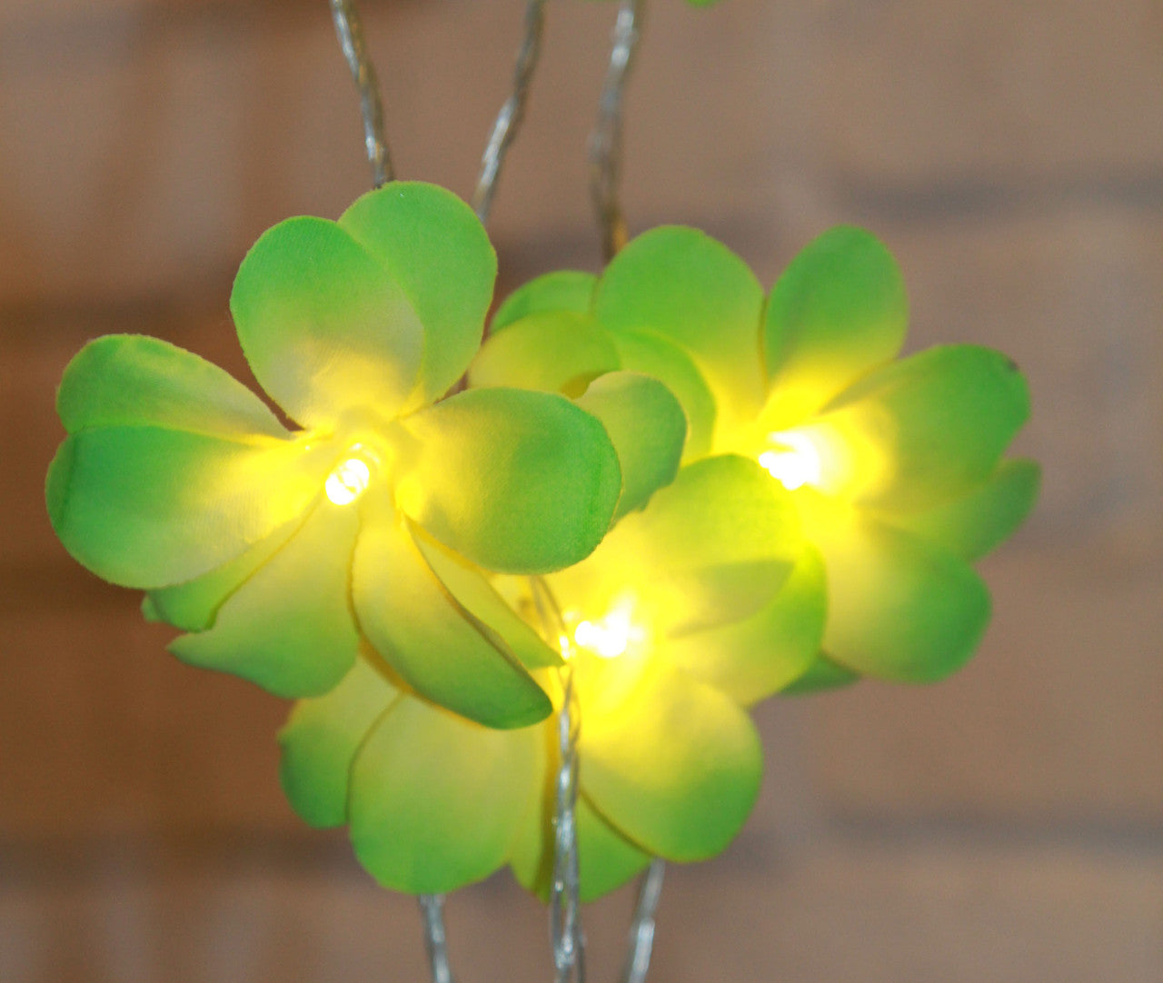 1 Set of 20 LED Green Frangipani Flower Battery String Lights Christmas Gift Home Wedding Party Decoration Outdoor Table Garland Wreath | Auzzi Store