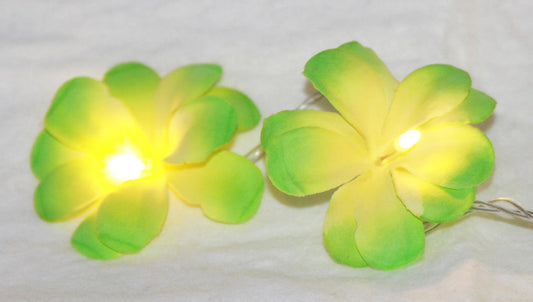 1 Set of 20 LED Green Frangipani Flower Battery String Lights Christmas Gift Home Wedding Party Decoration Outdoor Table Garland Wreath | Auzzi Store