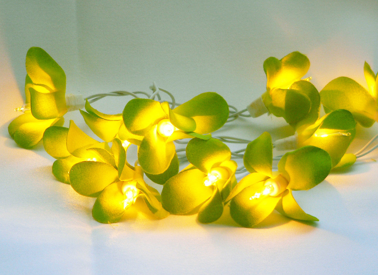 1 Set of 20 LED Green Frangipani Flower Battery String Lights Christmas Gift Home Wedding Party Decoration Outdoor Table Garland Wreath | Auzzi Store