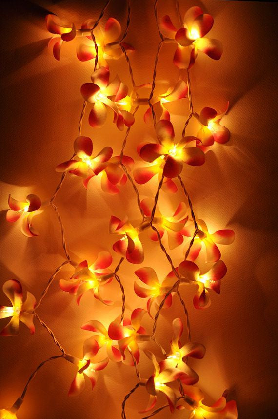 1 Set of 20 LED Orange Frangipani Flower Battery String Lights Christmas Gift Home Wedding Party Decoration Outdoor Table Garland Wreath | Auzzi Store