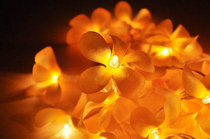 1 Set of 20 LED Orange Frangipani Flower Battery String Lights Christmas Gift Home Wedding Party Decoration Outdoor Table Garland Wreath | Auzzi Store