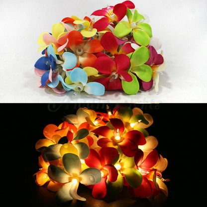 1 Set of 20 LED Tropical Bright Colous Frangipani Flower Battery String Lights Christmas Gift Home Wedding Party Decoration Outdoor Table Centrepiece | Auzzi Store