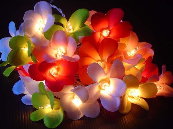 1 Set of 20 LED Tropical Bright Colous Frangipani Flower Battery String Lights Christmas Gift Home Wedding Party Decoration Outdoor Table Centrepiece | Auzzi Store