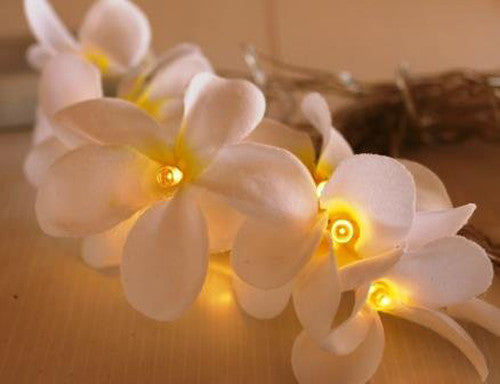 1 Set of 20 LED White Frangipani Flower Battery String Lights Christmas Gift Home Wedding Beach Party Decoration Outdoor Table Centrepiece | Auzzi Store