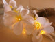 1 Set of 20 LED White Frangipani Flower Battery String Lights Christmas Gift Home Wedding Beach Party Decoration Outdoor Table Centrepiece | Auzzi Store