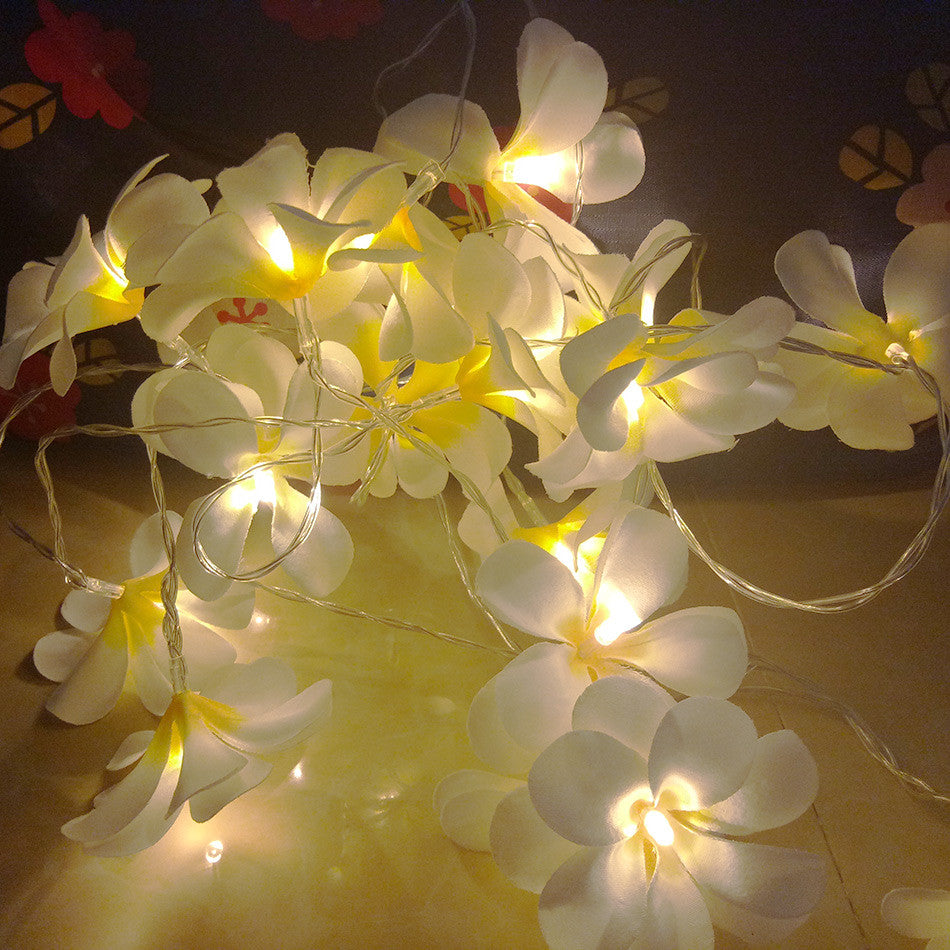 1 Set of 20 LED White Frangipani Flower Battery String Lights Christmas Gift Home Wedding Beach Party Decoration Outdoor Table Centrepiece | Auzzi Store