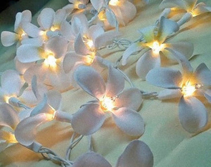 1 Set of 20 LED White Frangipani Flower Battery String Lights Christmas Gift Home Wedding Beach Party Decoration Outdoor Table Centrepiece | Auzzi Store