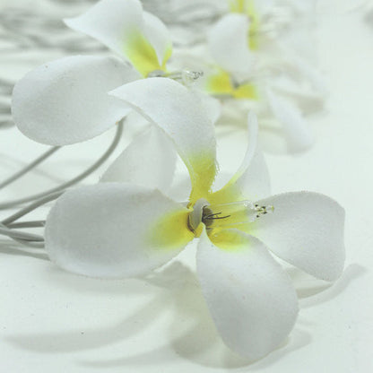 1 Set of 20 LED White Frangipani Flower Battery String Lights Christmas Gift Home Wedding Beach Party Decoration Outdoor Table Centrepiece | Auzzi Store