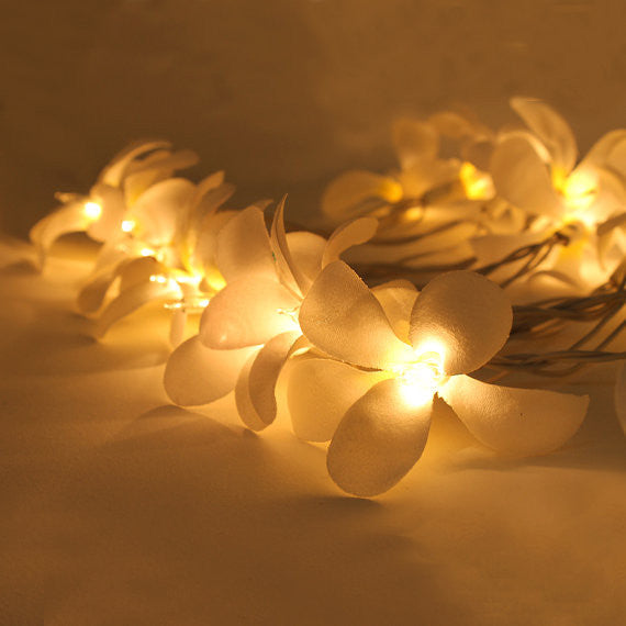 1 Set of 20 LED White Frangipani Flower Battery String Lights Christmas Gift Home Wedding Beach Party Decoration Outdoor Table Centrepiece | Auzzi Store