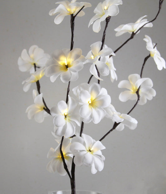 1 Set of 50cm H 20 LED White Frangipani Tree Branch Stem Fairy Light Wedding Event Party Function Table Vase Centrepiece Decoration | Auzzi Store