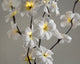 1 Set of 50cm H 20 LED White Frangipani Tree Branch Stem Fairy Light Wedding Event Party Function Table Vase Centrepiece Decoration | Auzzi Store