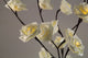 1 Set of 50cm H 20 LED White Rose Tree Branch Stem Fairy Light Wedding Event Party Function Table Vase Centrepiece Decoration | Auzzi Store