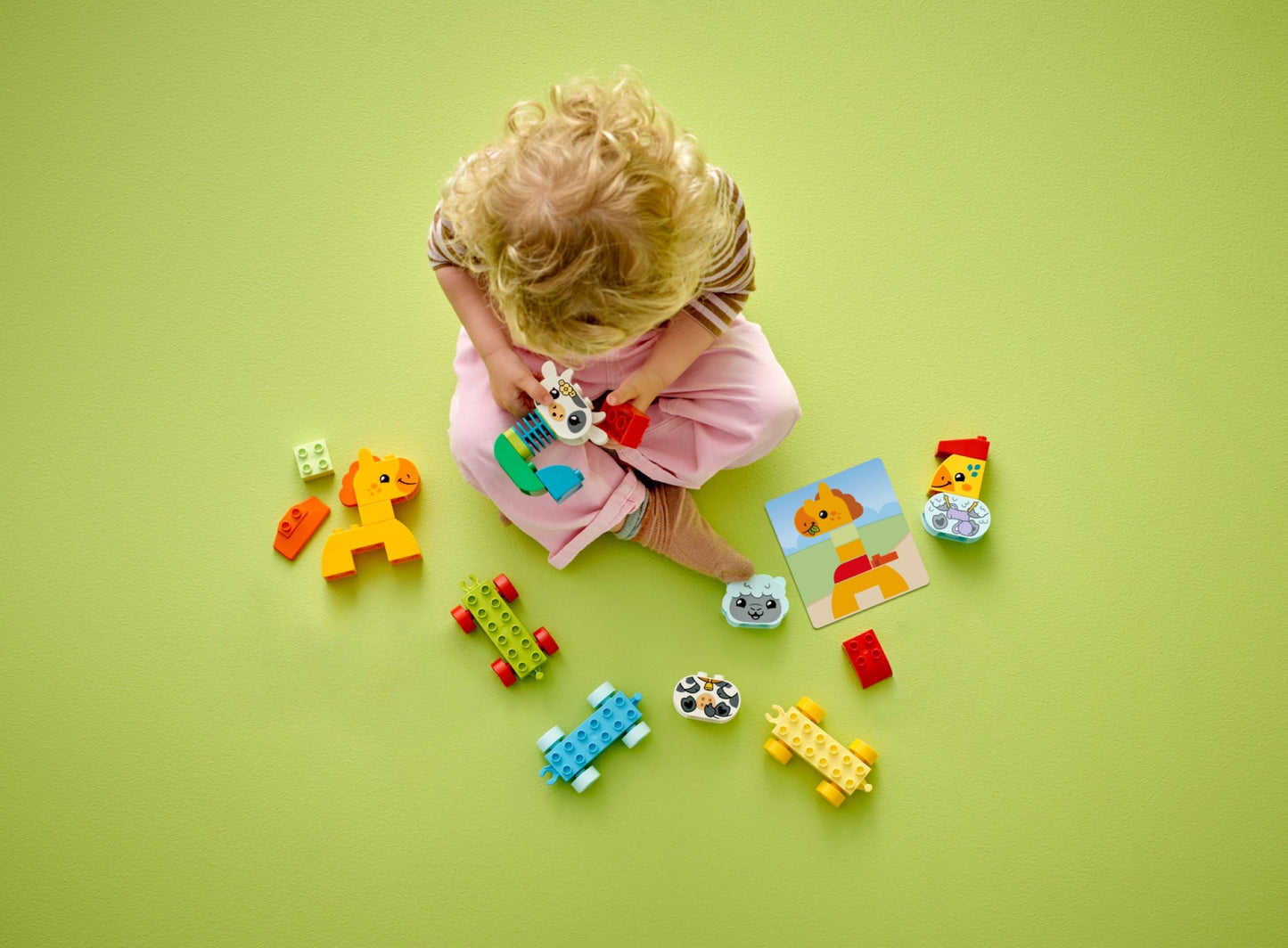 LEGO DUPLO My First Animal Train 10412