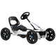Berg Reppy BMW Go Kart 24.61.00.00