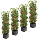 Greenlife Tomato Tower With 3 Tier Frame 4 x Pack – view 3
