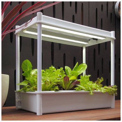 Greenlife 2 x Twin LED Self Watering Salad Grower With 8 Pots White 56 x 29 x 405 cm