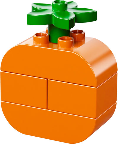 LEGO 10566 DUPLO Creative Picnic Building Blocks Set