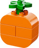 LEGO 10566 DUPLO Creative Picnic Building Blocks Set – view 4