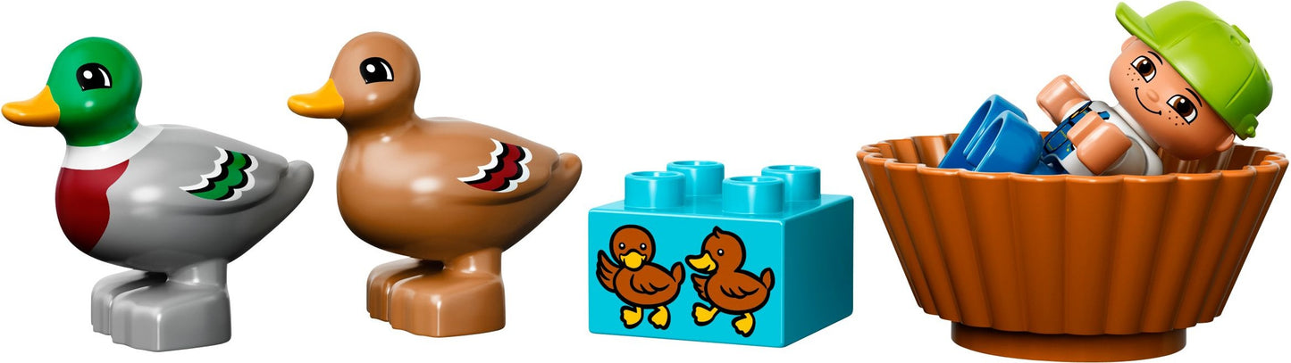 LEGO 10581 Forest Ducks: Build & Play Fun