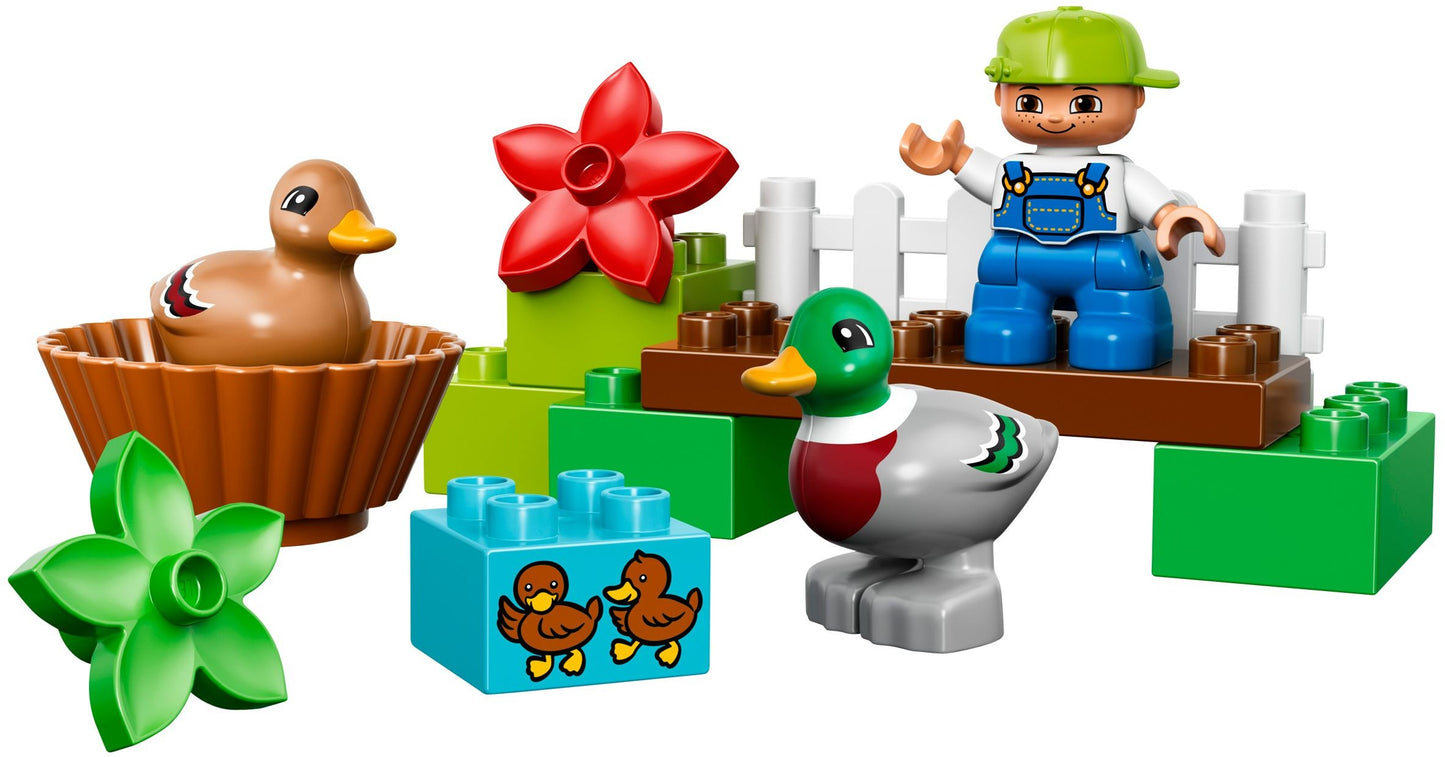 LEGO 10581 Forest Ducks: Build & Play Fun