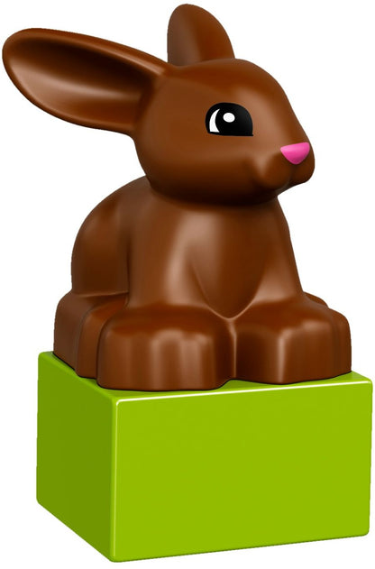 LEGO 10838 DUPLO Family Pets: Dog, Cat, Rabbit & Bird Set