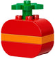 LEGO 10853 DUPLO Tropical Island Creative Building Set – view 6