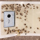 Envirosafe Pantry Moth Trap 2 Pack - 105mm x 160mm - Yellow - Detects Infestations