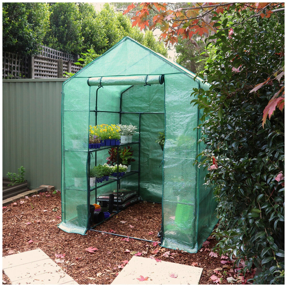 Greenlife Large Walk-in Greenhouse Twin Pack With PE Cover 195 x 143 x 143cm