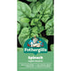 Mr Fothergill Spinach Seeds - Approx. 250 Seeds - Good Mildew Resistance