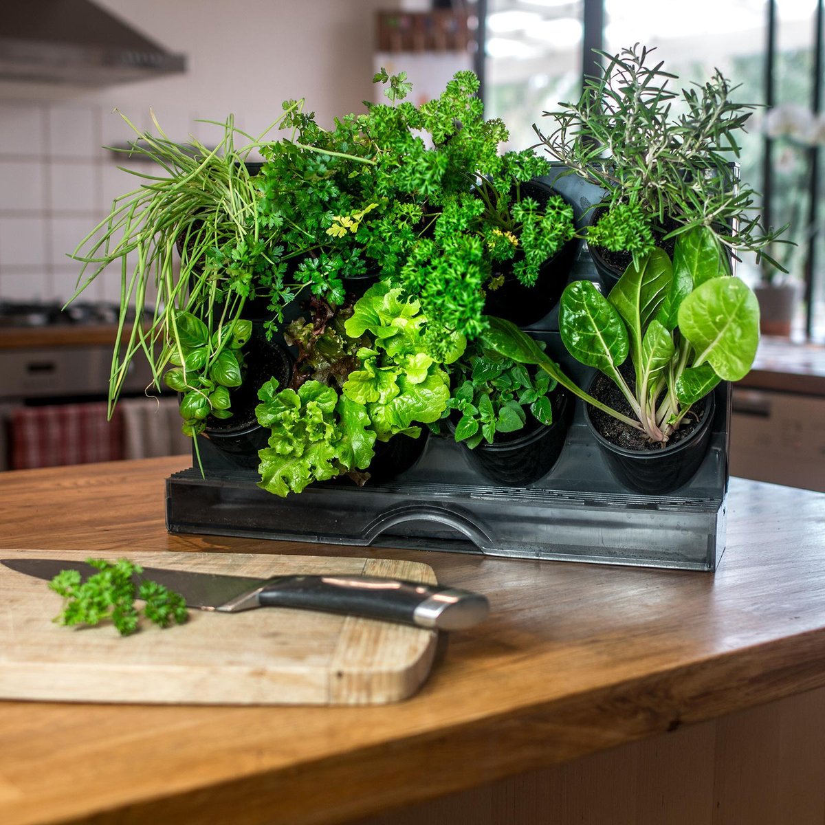 Holman Benchtop Greenwall Garden - Compact Plastic - No Mess Watering