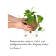 Kokedama Kit - 150mm - Ceramic - Unique Plant Display