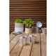 Waxworks Citronella Bucket Candle - 157mm - Metal - Outdoor Use