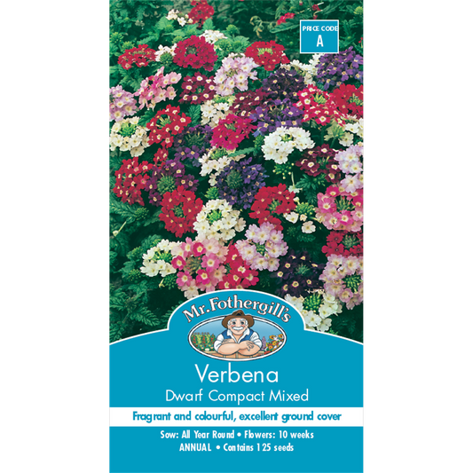 Mr Fothergill Verbena Dwarf Compact Flower Seeds 20cm Seeds Ground Cover - Auzzistore