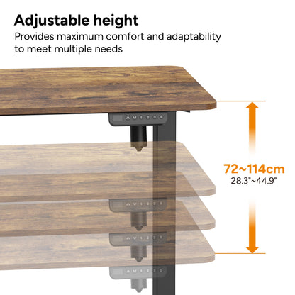 Ergolux Electric Standing Desk 120 x 60cm (Walnut/Black)