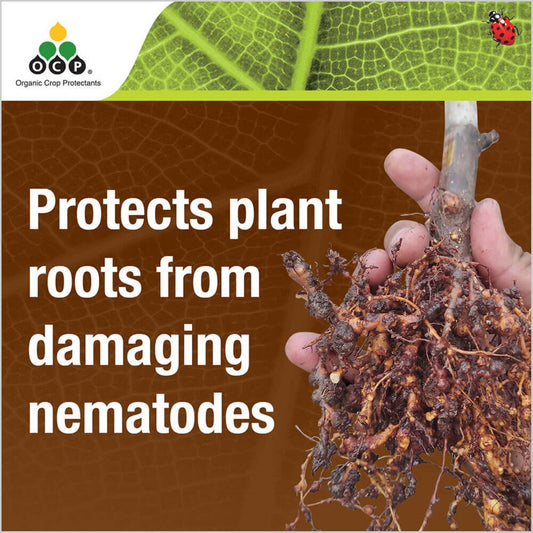 Ocp Eco Nemguard Organic Nematicide 350g - Granular Nematode Treatment – view 2 - Auzzistore