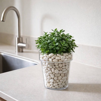 Eden Clear Planter 20cm Polypropylene Lightweight Durable Design