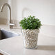Eden Clear Planter 20cm Polypropylene Lightweight Durable Design
