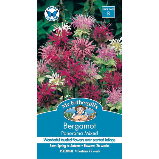 Mr Fothergill Bergamot Panorama Mix Seeds - 75mm - Aromatic - Easy Grow - Auzzistore