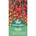 Mr Fothergill Sweet 100 Tomato Seeds - 75mm - Juicy - Vitamin C Rich