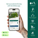 Willow Smart Indoor Plant Sensor - Charcoal - Monitors Soil Moisture, Light, Temperature, Humidity - Bluetooth Connectivity