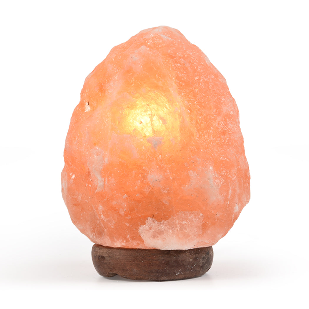 2-3 kg Himalayan Salt Lamp Rock Crystal Natural Light Dimmer Switch Cord Globes | Auzzi Store